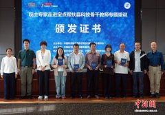 基层教师谈专题培训收获：专家团队送来科技教育“及时雨”