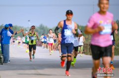 天津：6000跑者穿越万亩稻田共赴半马之约